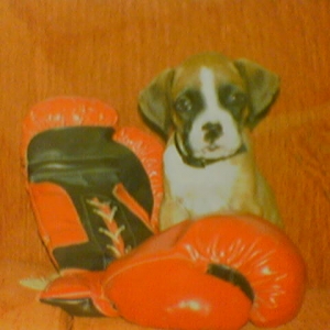 38 days old