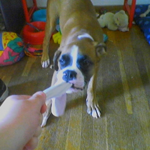 playing
