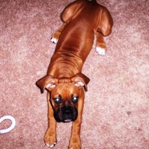 She's getting to be such a long girl...