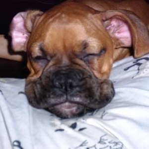 How can you resist a face like hers???