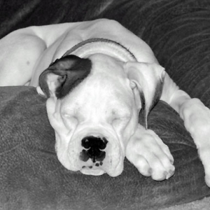 Sleepy Girl.