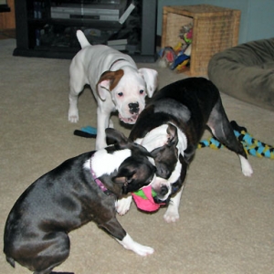 All Three of My Babies