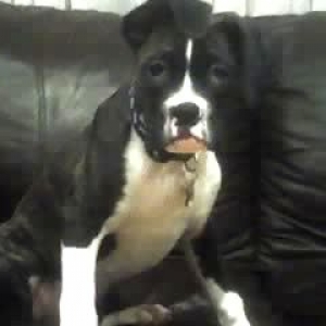 my couch!!!