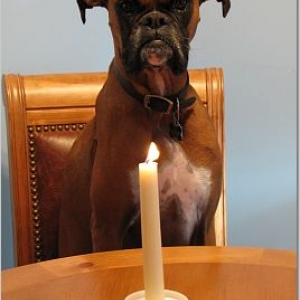 Nestle's 6th birthday