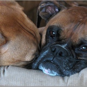 cuddle time