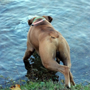 Testing the waters