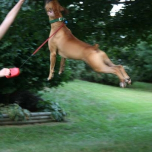Look mom, I'm flying!!