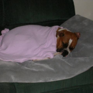 Sweet baby