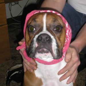 Aunt Jemima