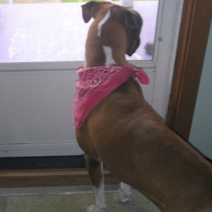 Waiting for Daddy