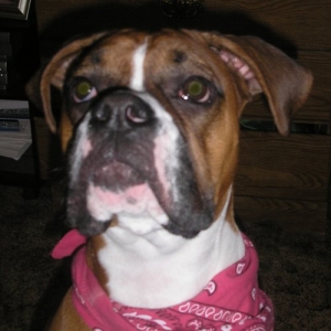 Roxy