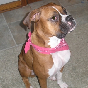 Pretty girl