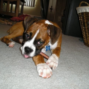 Kahne