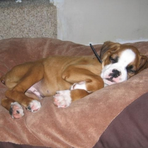 Sound Asleep!
