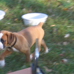 On the Run
