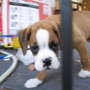 Don't try to hide from me!