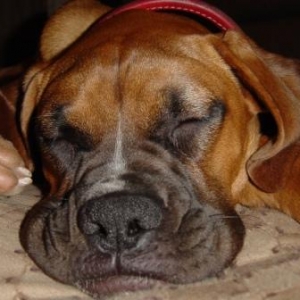 Tired girl