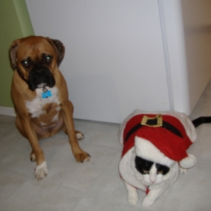 Santa Nigel and Chester