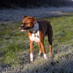 Brrrrr - I'm cold