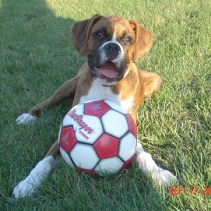 Annie