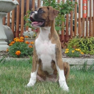 Annie_B