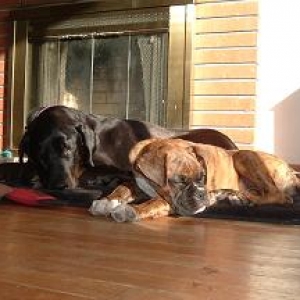 We love sun bathing!