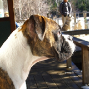 Resting after a long Hike