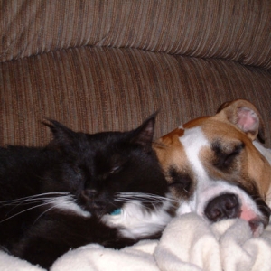 Hannah & Chloe
