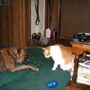 Jager and Kahlua