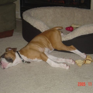 Sleeping half outa the bed