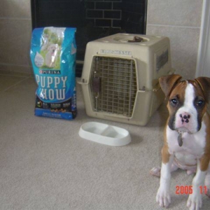 Don't give my stuff away!