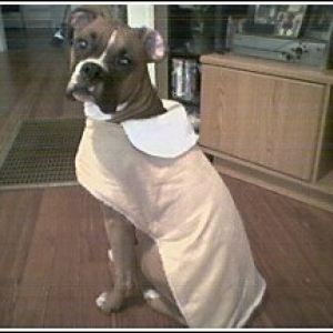 polly_s_new_coat