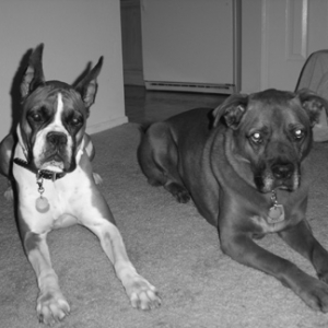 thekids2
