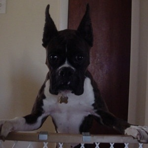 Let me in!!