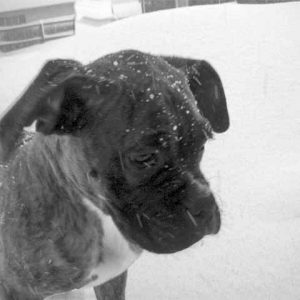 What is this white stuff?