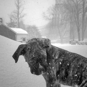 Brrrrrrrrr...