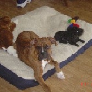 me and my aunt Prissy