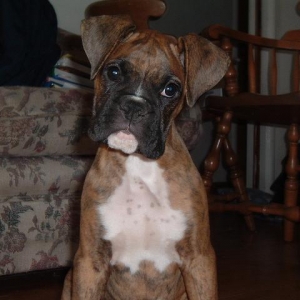 I know I am cute!
