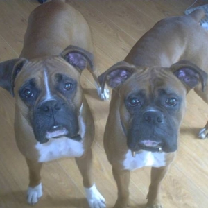 Osker and Ali