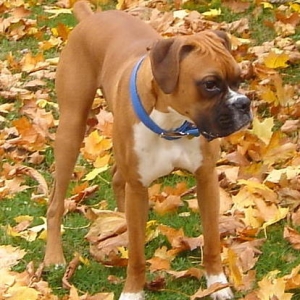 Rocky checking things out.