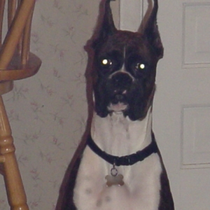 Who me?!?