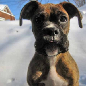 snow is good after all
