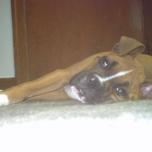 Chillin