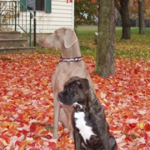 Rocco and Maddie