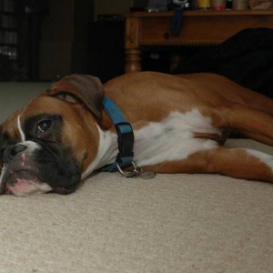 Sleepy
