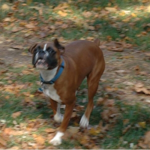 Running