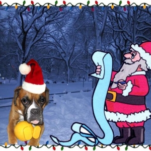 mom, have i been naughty or nice???