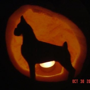 Pumpkin