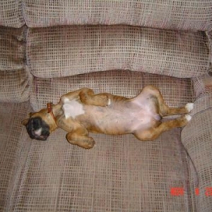 ZZZZZZZ