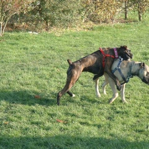 Gerroff me Lola